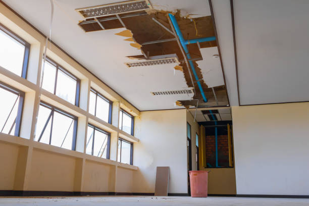 Best Carpet water damage restoration  in Garretson, SD