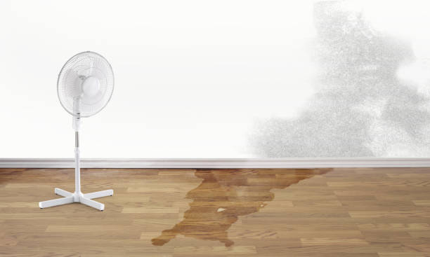 Best 24/7 water damage repair  in Garretson, SD