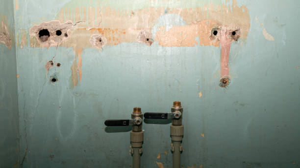 Best Carpet water damage restoration  in Garretson, SD