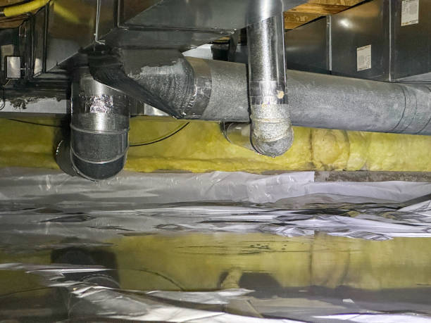 Best Mold removal after water damage  in Garretson, SD