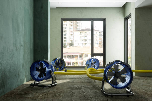 Best Water damage contractors near me  in Garretson, SD