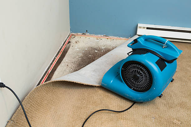 Best Water damage restoration process  in Garretson, SD